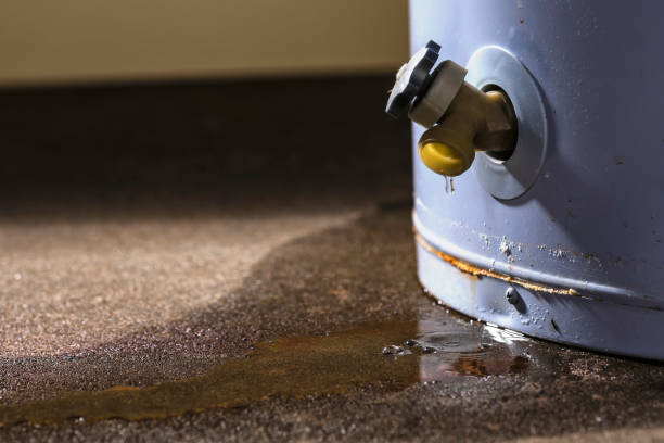 Best Basement water damage restoration  in Keystone Heights, FL