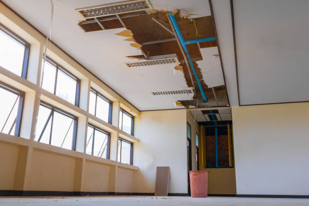 Best Professional water damage repair  in Keystone Heights, FL