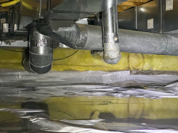 Best Water damage cleanup near me  in Keystone Heights, FL
