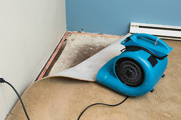 Best Fire Damage Restoration  in Keystone Heights, FL